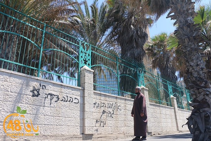 abo 3ajwa ja (3).JPG